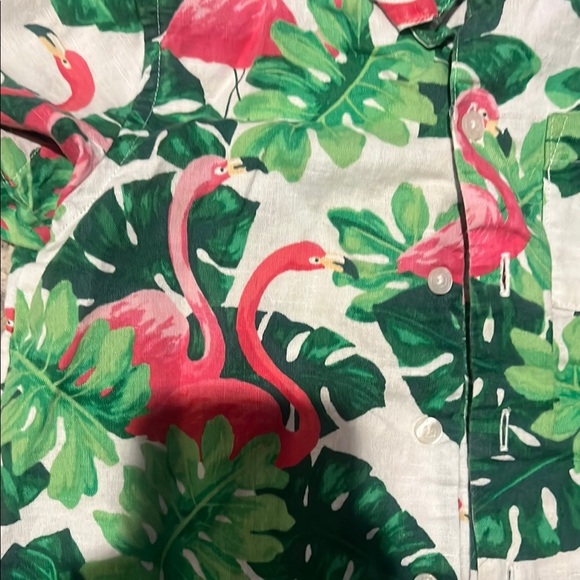 Janie & Jack Boys Tropical Flamingo Shirt and Matching Swim Shorts - Picture 3 of 11